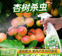 杏树树虱子防治,识别虫害特征,掌握有效方法 杏树树虱子防治,识别虫害特征,掌握有效方法