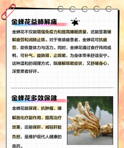 蝉花栽培,掌握关键步骤,轻松收获优质虫草 蝉花栽培,掌握关键步骤,轻松收获优质虫草