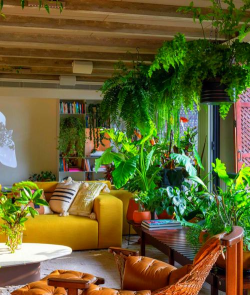 公寓式绿化设计,提升居住品质,打造舒适空间 公寓式绿化设计,提升居住品质,打造舒适空间