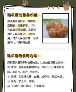 猴菇栽培,掌握关键步骤,轻松收获美味 猴菇栽培,掌握关键步骤,轻松收获美味