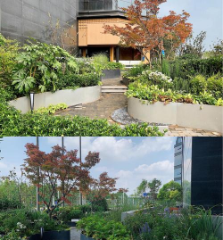 郑州门面绿化设计,提升店铺形象,吸引更多顾客 郑州门面绿化设计,提升店铺形象,吸引更多顾客