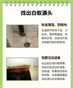 树白蚁防治药,选对方法,保护树木健康 树白蚁防治药,选对方法,保护树木健康