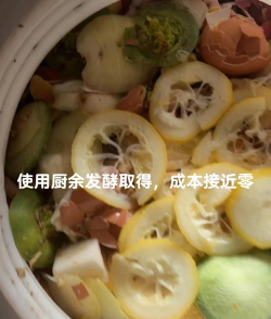 自制无土栽培营养液,掌握核心配方,轻松搞定植物喂养 自制无土栽培营养液,掌握核心配方,轻松搞定植物喂养