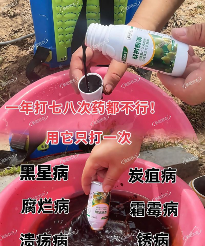 犁头树病害防治,常见问题识别,有效处理方法 犁头树病害防治,常见问题识别,有效处理方法