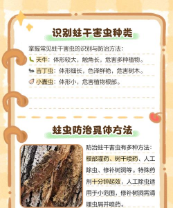 古树臭虫防治,识别虫害特征,掌握有效方法 古树臭虫防治,识别虫害特征,掌握有效方法