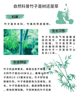 草树竹防治,常见问题解析,实用方法分享 草树竹防治,常见问题解析,实用方法分享