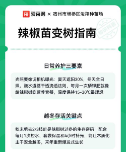 防治椒树老化,延长结果年限,提升种植效益 防治椒树老化,延长结果年限,提升种植效益