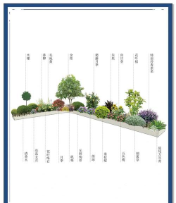 绿化设计哪家快,服务效率高,选择有技巧 绿化设计哪家快,服务效率高,选择有技巧