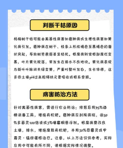 防治树枯病,找准病因,对症下药 防治树枯病,找准病因,对症下药