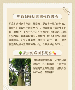 流苏树药物防治,常见病害识别,科学用药指南 流苏树药物防治,常见病害识别,科学用药指南