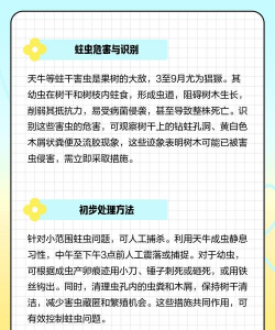 腊肠树蛀虫防治,识别虫害迹象,采取有效手段 腊肠树蛀虫防治,识别虫害迹象,采取有效手段
