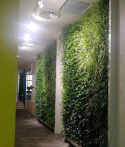 防虫立体绿化设计,打造健康空间,提升居住体验 防虫立体绿化设计,打造健康空间,提升居住体验