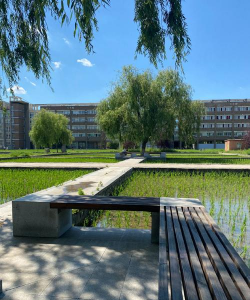 沈阳学校绿化设计,提升校园环境,营造学习氛围 沈阳学校绿化设计,提升校园环境,营造学习氛围