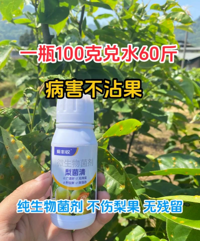 树锈病怎么防治,识别早期症状,采取有效方法 树锈病怎么防治,识别早期症状,采取有效方法