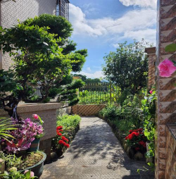 阳江庭院绿化设计,打造舒适空间,提升生活品质 阳江庭院绿化设计,打造舒适空间,提升生活品质