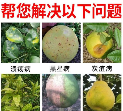 柚树防治药剂,常见病害识别,高效防治方案 柚树防治药剂,常见病害识别,高效防治方案