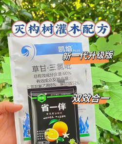 树地杂草防治,有效方法,实用技巧 树地杂草防治,有效方法,实用技巧