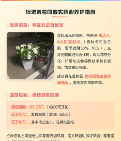 栀子花长苞了怎么养,花苞养护要点,避免掉苞技巧 栀子花长苞了怎么养,花苞养护要点,避免掉苞技巧