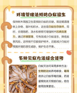 树白蚁防治采购,方法选择,效果保障 树白蚁防治采购,方法选择,效果保障