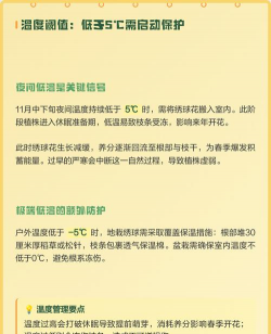 绣球花冬季夏季怎么养,掌握关键技巧,轻松应对季节变化 绣球花冬季夏季怎么养,掌握关键技巧,轻松应对季节变化