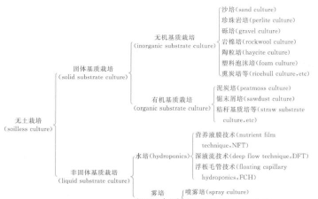 无土栽培名词解释,了解基本概念,掌握核心要点 无土栽培名词解释,了解基本概念,掌握核心要点