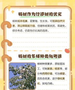 白羊树怎么防治,常见问题解析,实用方法分享 白羊树怎么防治,常见问题解析,实用方法分享