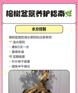 榕树的栽培,选对方法,轻松上手 榕树的栽培,选对方法,轻松上手