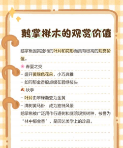 秋树病害防治,识别常见问题,掌握有效方法 秋树病害防治,识别常见问题,掌握有效方法