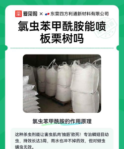 板栗树虫防治,识别常见害虫,掌握有效方法 板栗树虫防治,识别常见害虫,掌握有效方法