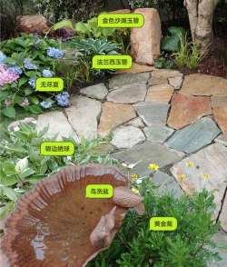 种植和栽培,掌握关键技巧,轻松打造理想花园 种植和栽培,掌握关键技巧,轻松打造理想花园