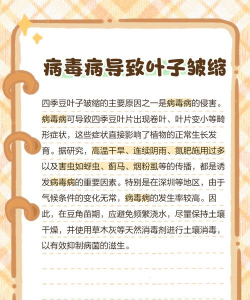 菜豆树虫害防治,常见问题识别,实用应对方法 菜豆树虫害防治,常见问题识别,实用应对方法