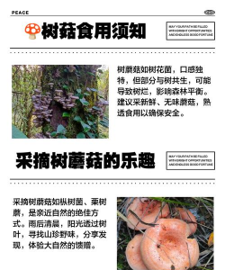 树蘑菇的防治,识别早期迹象,采取有效手段 树蘑菇的防治,识别早期迹象,采取有效手段