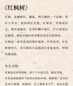 枫树栽培,选对品种,掌握关键技巧 枫树栽培,选对品种,掌握关键技巧