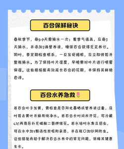 百合花冻了怎么水养,快速恢复生机,避免二次伤害 百合花冻了怎么水养,快速恢复生机,避免二次伤害
