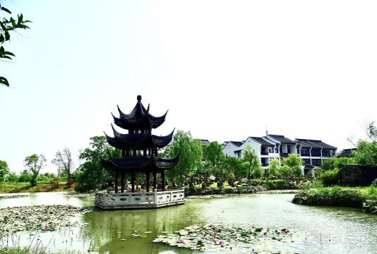 六安紫荆花怡养小镇怎么样,环境与设施,真实体验分享 六安紫荆花怡养小镇怎么样,环境与设施,真实体验分享