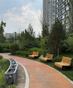 太原北部绿化设计,提升城市环境,改善居民生活 太原北部绿化设计,提升城市环境,改善居民生活