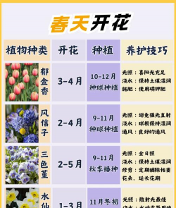 怎么养四季花,掌握关键技巧,让花开不断 怎么养四季花,掌握关键技巧,让花开不断