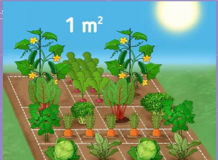 农家绿化设计要求,打造舒适环境,提升生活品质 农家绿化设计要求,打造舒适环境,提升生活品质