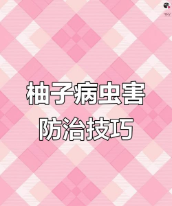 柚树病害防治,识别常见问题,掌握应对方法 柚树病害防治,识别常见问题,掌握应对方法