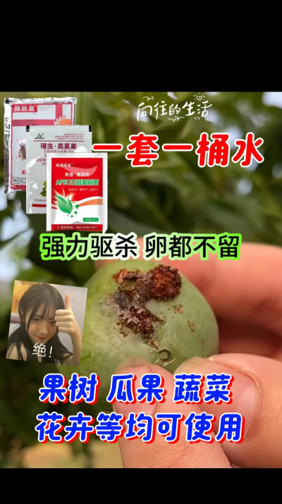 树蚤的防治,识别虫害特征,掌握有效方法 树蚤的防治,识别虫害特征,掌握有效方法