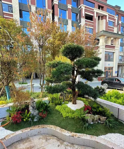 亳州别墅绿化设计,打造私家花园,提升居住品质 亳州别墅绿化设计,打造私家花园,提升居住品质