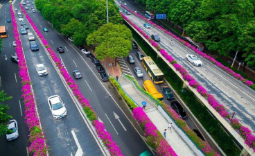 潮州桥梁绿化设计,提升城市景观,改善生态环境 潮州桥梁绿化设计,提升城市景观,改善生态环境