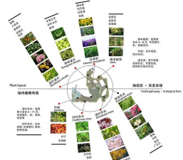 绿化设计技术标,核心内容解析,关键要点梳理 绿化设计技术标,核心内容解析,关键要点梳理