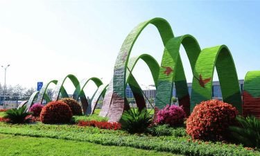 纪念馆绿化设计设计,营造肃穆氛围,提升环境品质 纪念馆绿化设计设计,营造肃穆氛围,提升环境品质