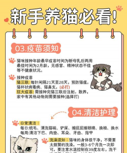 猫猫栽培2,新手入门指南,轻松上手技巧 猫猫栽培2,新手入门指南,轻松上手技巧