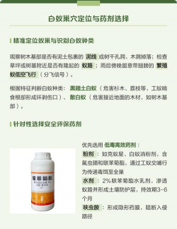 树长白蚁防治,识别早期迹象,选择有效方法 树长白蚁防治,识别早期迹象,选择有效方法