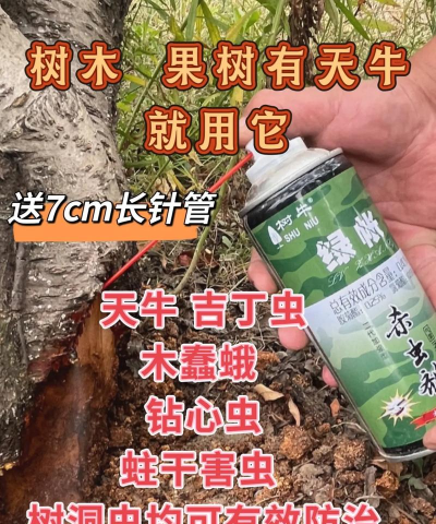 防治树蛀虫药,选对是关键,用对才有效 防治树蛀虫药,选对是关键,用对才有效