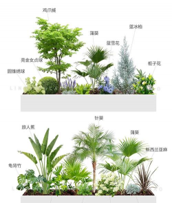 天台楼顶绿化设计公司,打造城市绿洲,提升生活品质 天台楼顶绿化设计公司,打造城市绿洲,提升生活品质