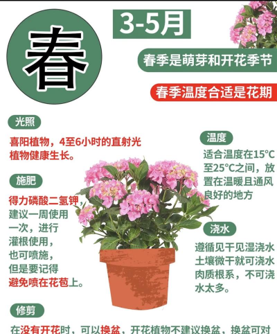 花卉栽培与管理,新手入门指南,轻松养好花 花卉栽培与管理,新手入门指南,轻松养好花