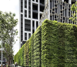 山东现代立体绿化设计,提升城市生态,打造绿色空间 山东现代立体绿化设计,提升城市生态,打造绿色空间